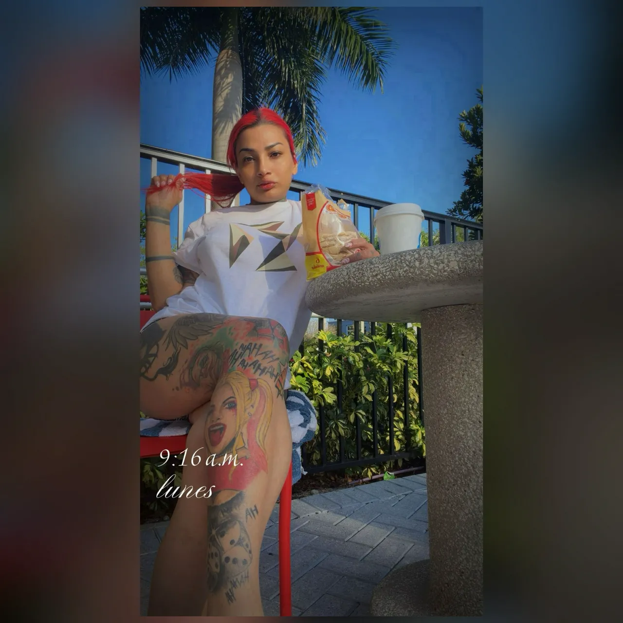 Escorts Raleigh, North Carolina Crabtree Valley