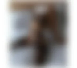 Escorts Preston, England HOT TS VISITING YOUR TOWN