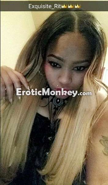 Escorts Tampa, Florida Exquisite Rit
