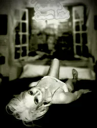Escorts Austin, Texas Courtney’s Corner USA | For All The Right Reasons….