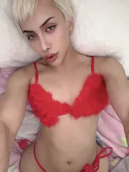 Escorts San Jose, California Royal Alex 🖤🐰