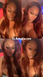 Escorts Baltimore, Maryland AmaliaPartyGirl🎉