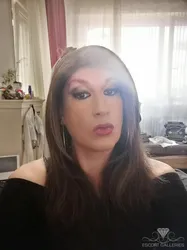 Escorts Berlin, Germany Cat Deluxe