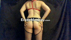 Escorts Louisville, Kentucky Bianca