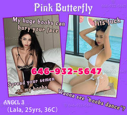 Escorts San Gabriel Valley, California Pink Butterfly | Butterfly-Most professional sex club --