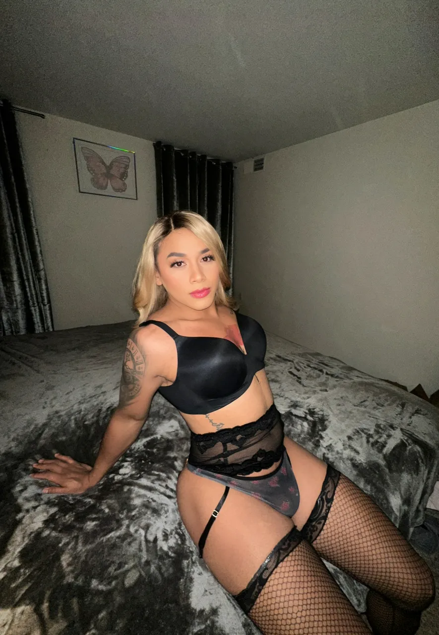 Escorts Alexandria, Virginia GABY 8INCH🍆