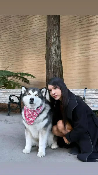 Escorts Dallas, Texas 🆕MissAsianKitty🇵🇭