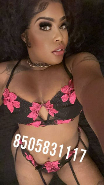 Escorts San Jose, California New Exotic thick ebonee