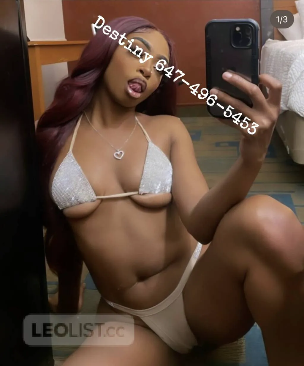 Escorts Moncton, New Brunswick hello monctonfantasy guarnteehit me up for a good time