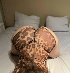 Escorts Moncton, New Brunswick Khloe