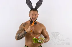 Escorts Amsterdam, Netherlands null