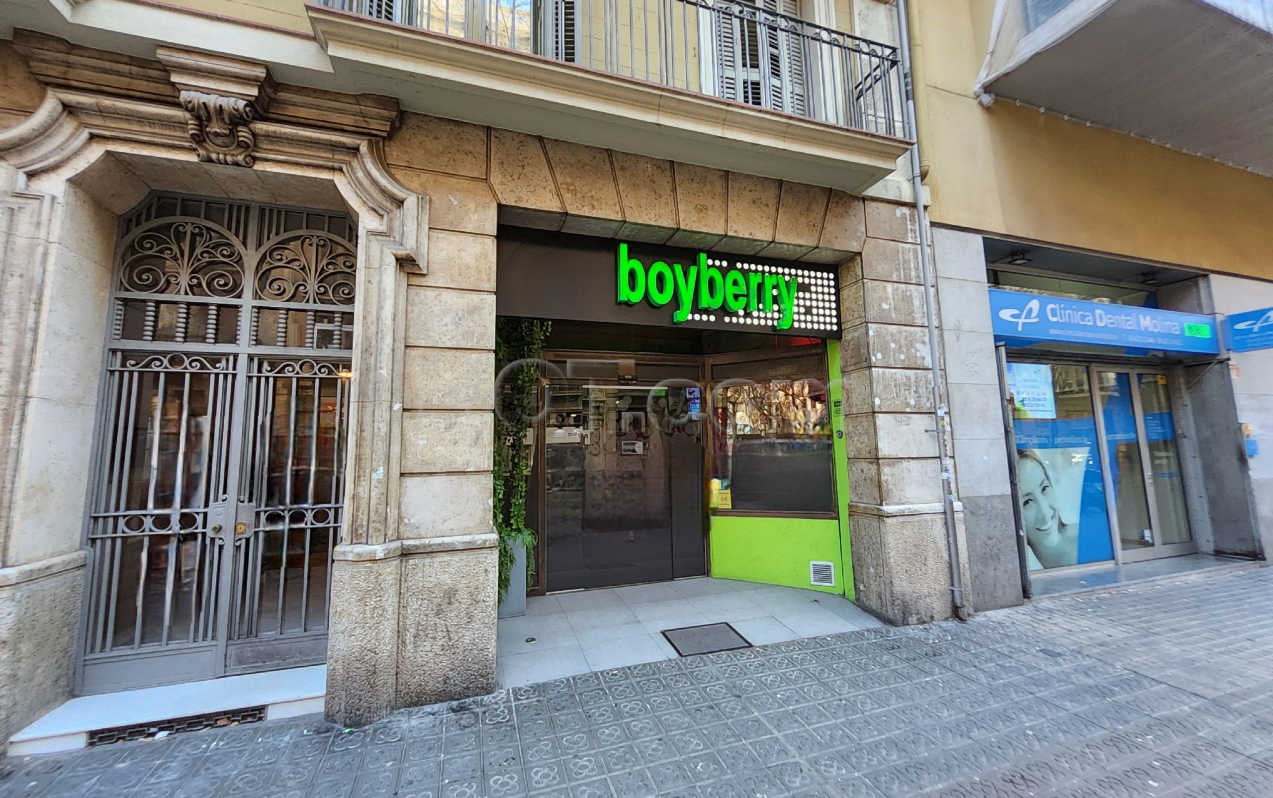 Barcelona, Spain Boyberry