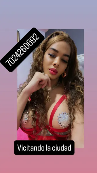 Escorts Miami, Florida Sacha visitando
