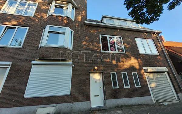 Massage Parlors Rotterdam, Netherlands Lotus Prive