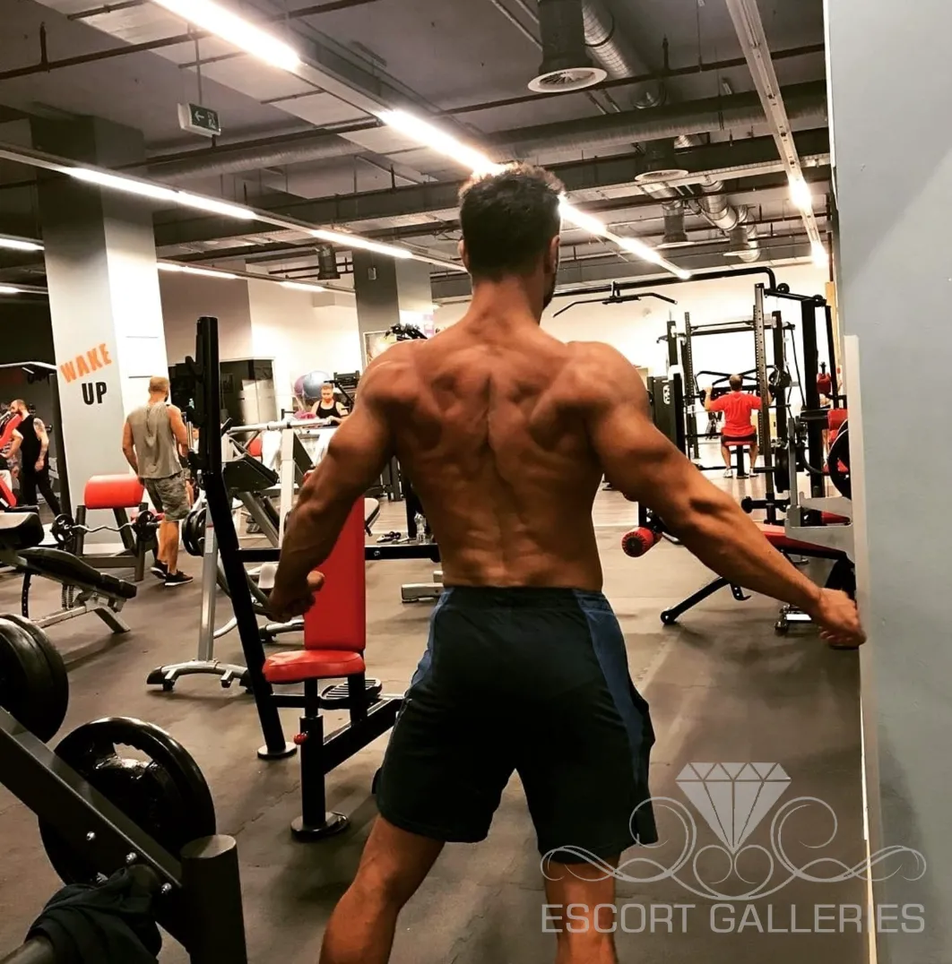 Escorts Amsterdam, Netherlands null