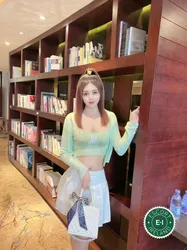 Escorts Dublin, Ireland Zhou Zhou