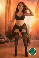 Escorts Cork, Ireland Tina Tucci