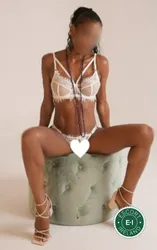 Escorts Dublin, Ireland Bruna