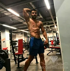 Escorts Amsterdam, Netherlands null