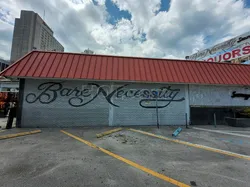 Strip Clubs Miami, Florida Bare Necessity