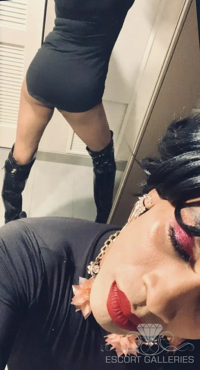 Escorts Denver, Colorado Venus desire