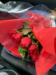 Escorts Denver, Colorado Sharon