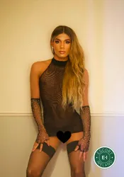 Escorts Dublin, Ireland TV Chloe