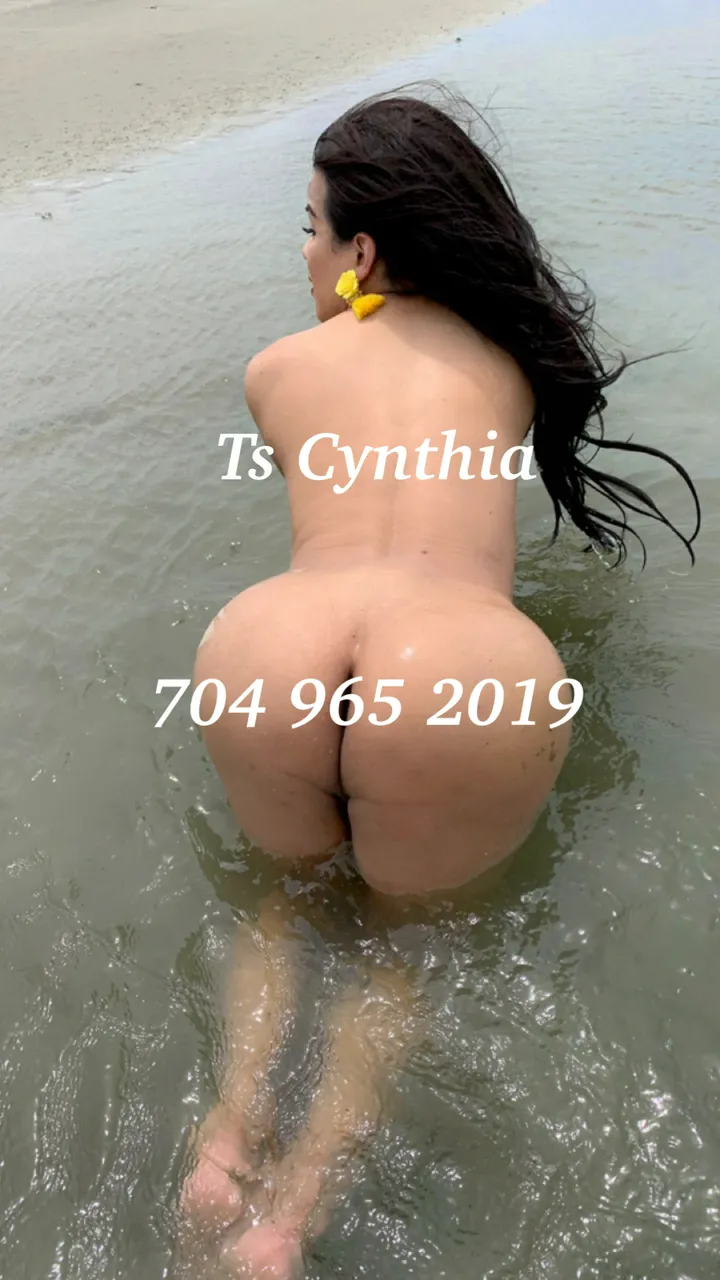 Escorts Greenville, South Carolina Ts Cynthia