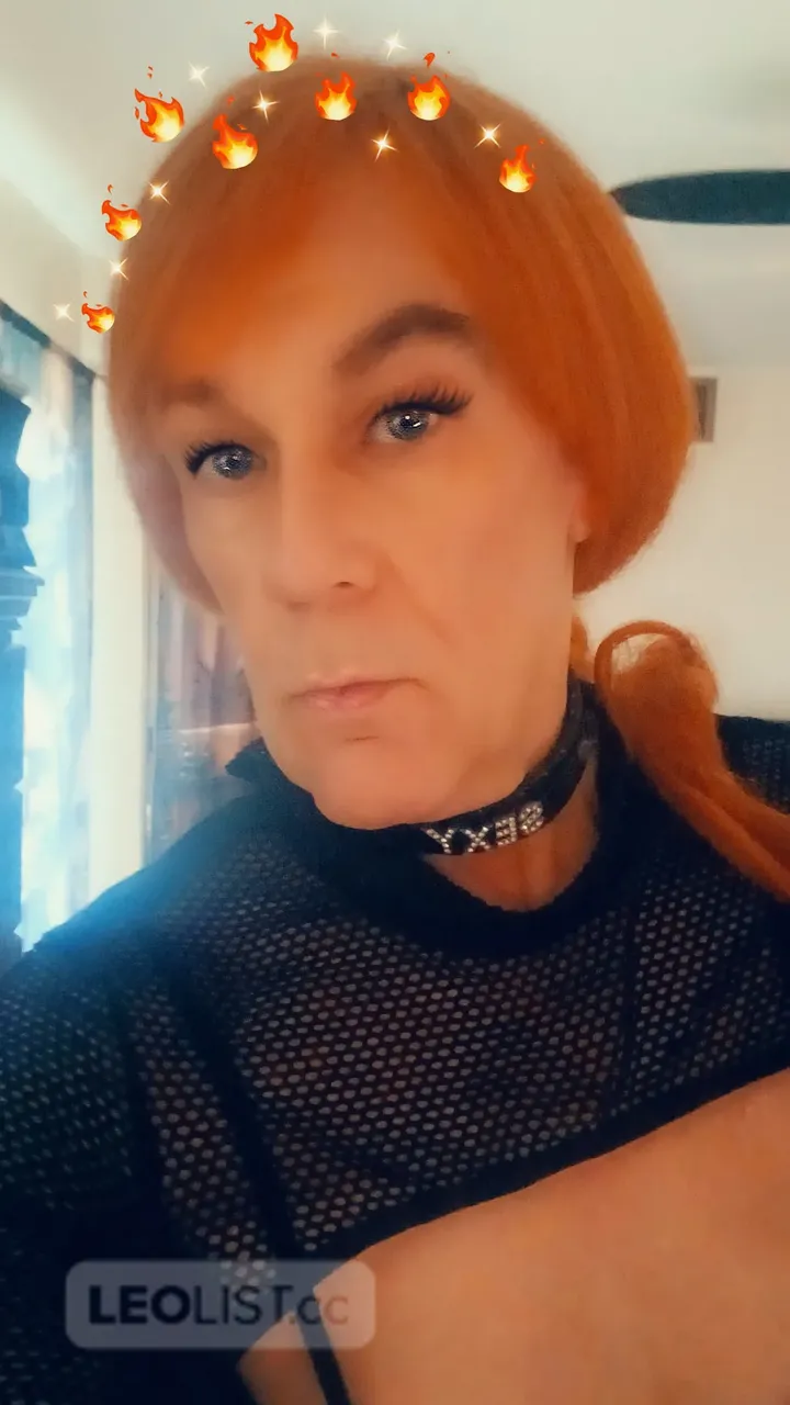Escorts Windsor, Ontario SINDY24/7 Local T-GirlXXX