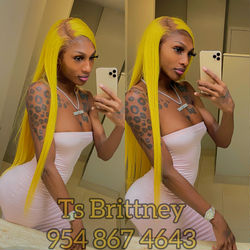 Miami Shemale Escorts - TS Escort Listings in Miami, FL - HOT.com