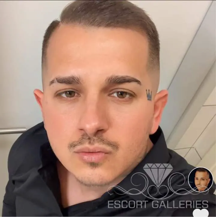 Escorts Munich, Germany Lion