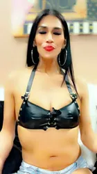 Escorts Houston, Texas LATNTRANSY
