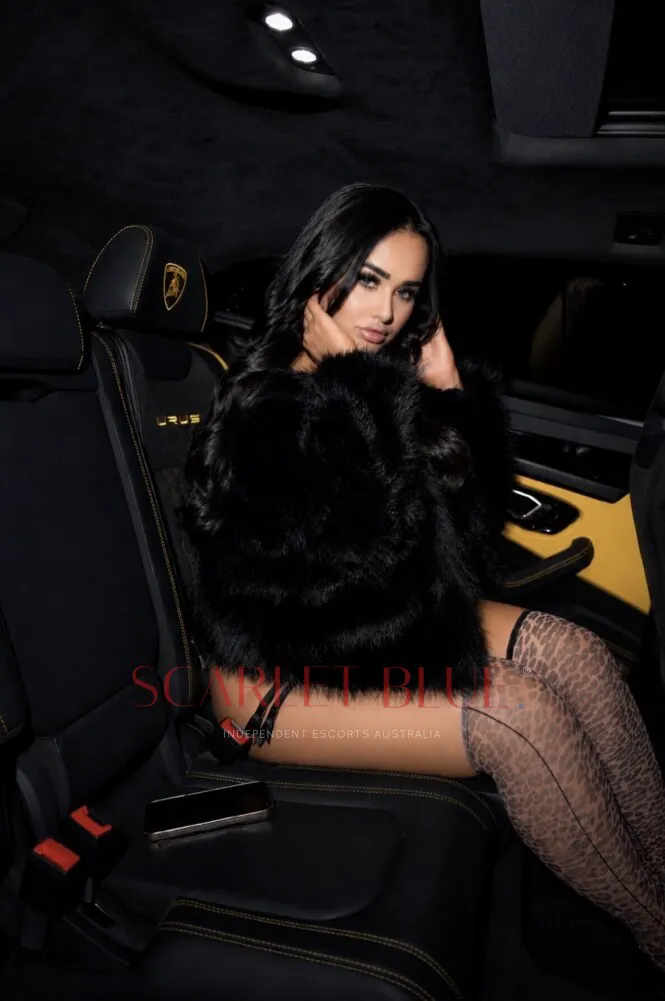 Escorts Melbourne, Australia Bentleyy 



